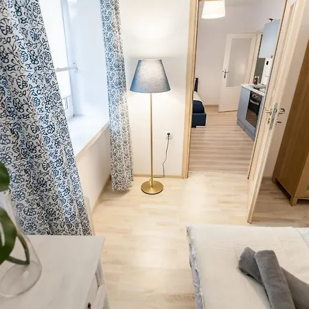 Vintage Krasinskiego 7/4 דירה קרקוב